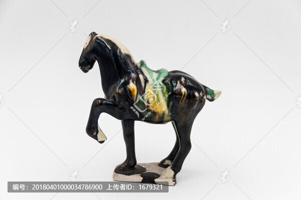 白色背景的馬