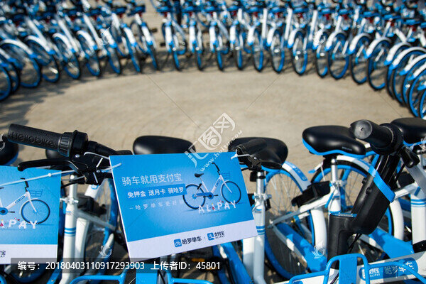 哈羅單車(chē)