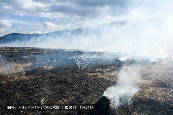 防火期燒防火道