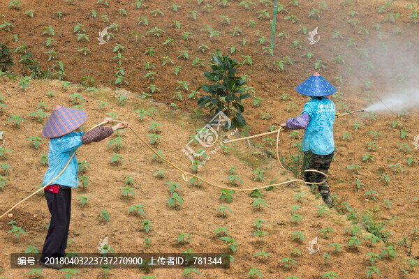 園藝工作者