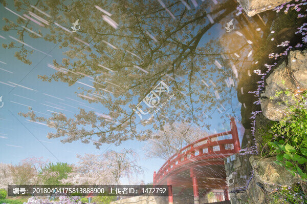 初春櫻花園