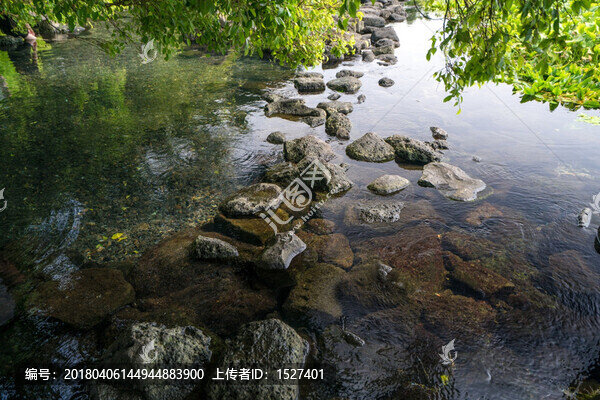 水塘