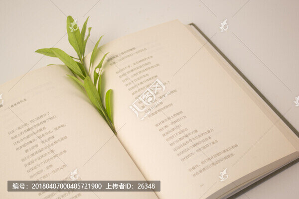 樹葉書本