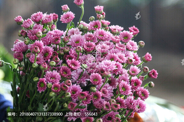 花束