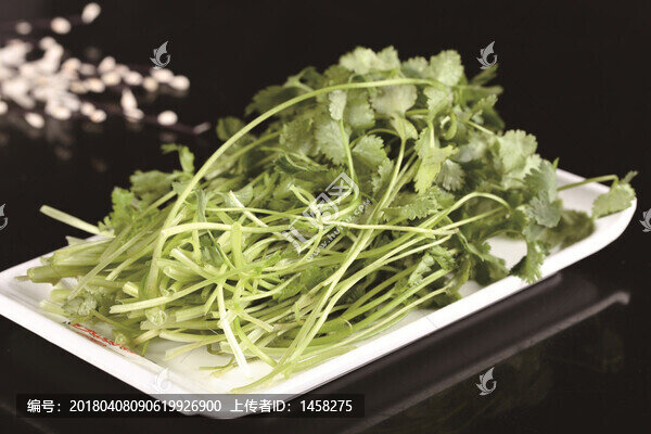 香菜