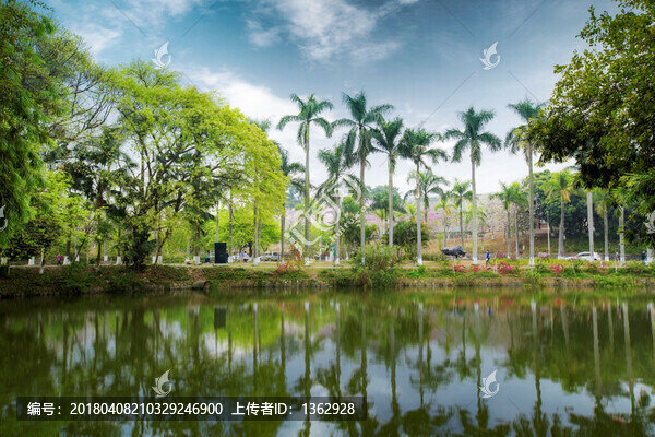 春色滿園華農(nóng)大
