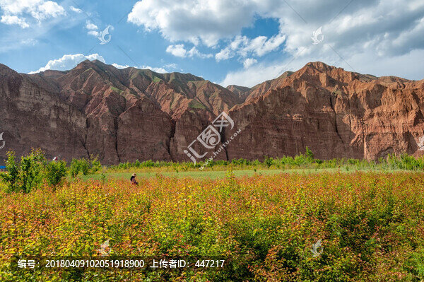 青海尖扎坎布拉鎮(zhèn)