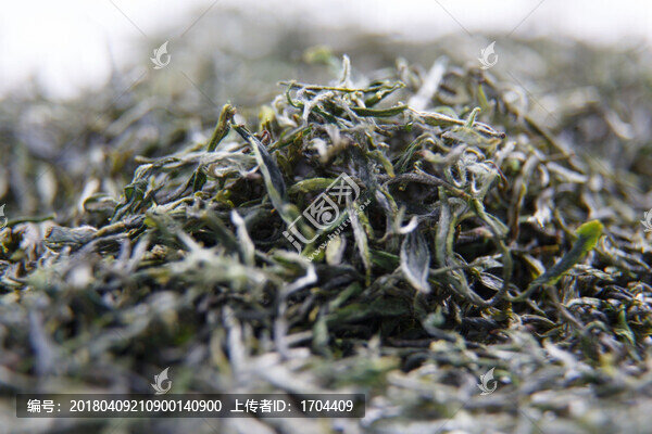 綠茶