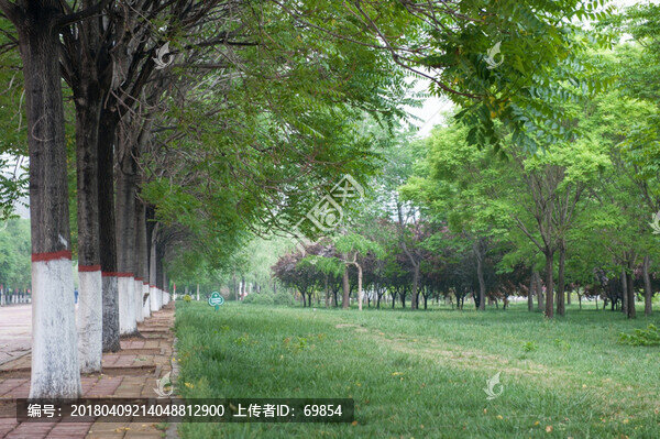 大學校園風光