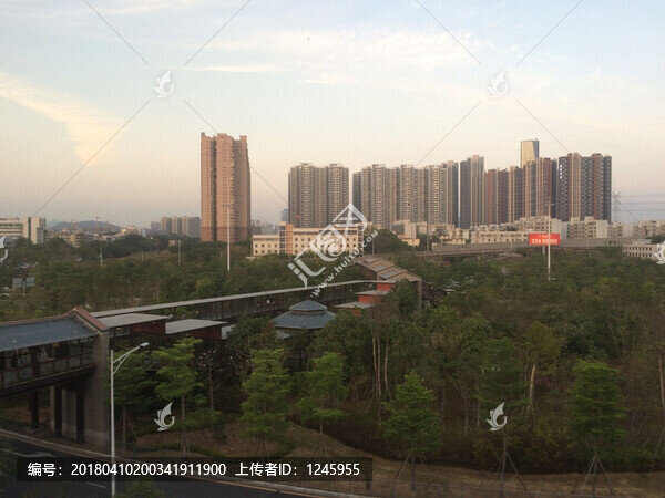 深圳風(fēng)景