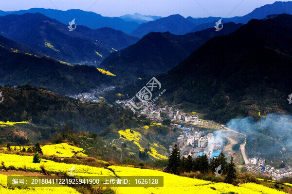 皖南山村油菜花開
