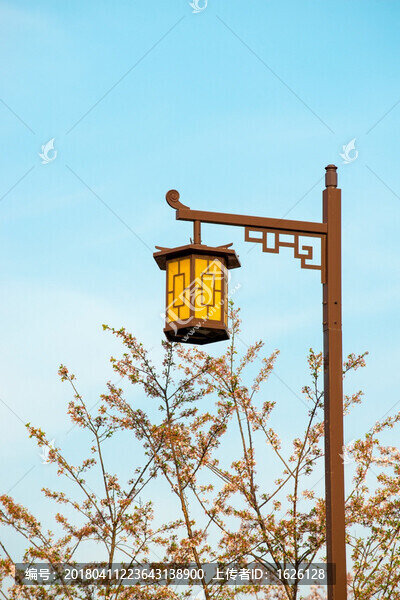 櫻花