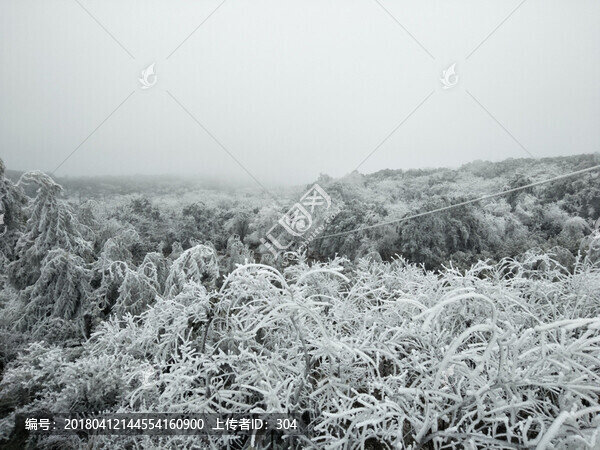 菌子山冰雪,霧凇