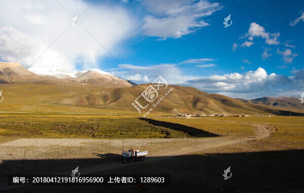 草原牧場
