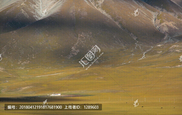 草原牧場