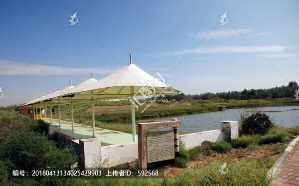 騰格里沙漠,通湖草原