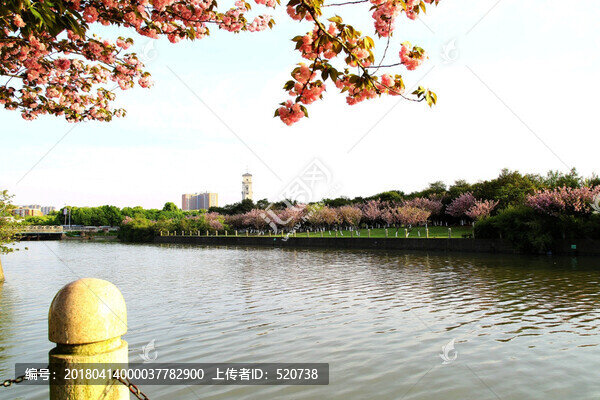 春天,城市,園林,湖畔
