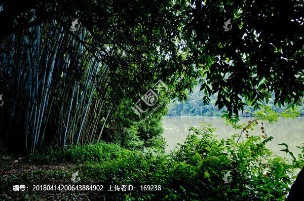 森林公園,濕地
