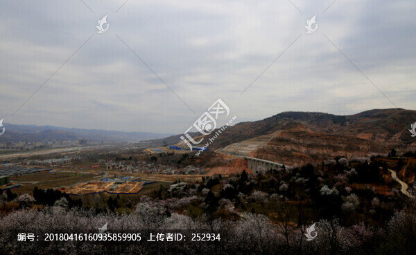 田園