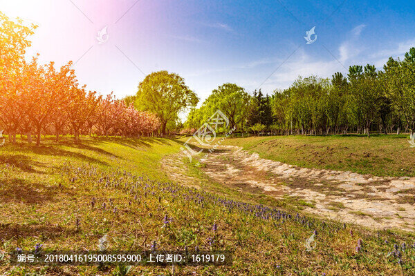 河道景觀