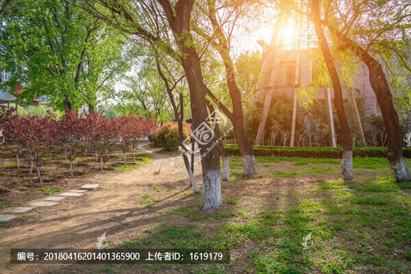 公園景觀