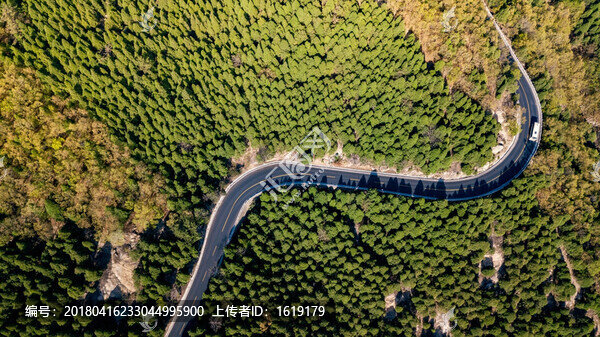 航拍森林公路