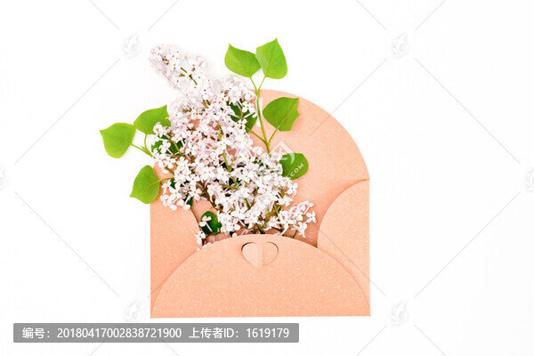 鮮花和信封