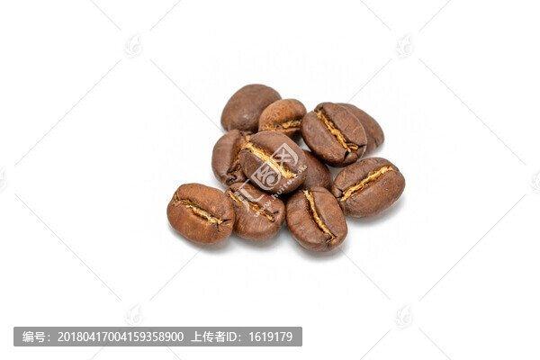 咖啡豆白底