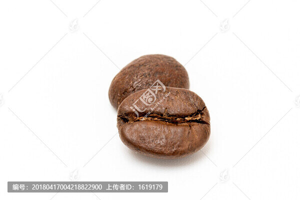 咖啡豆白底