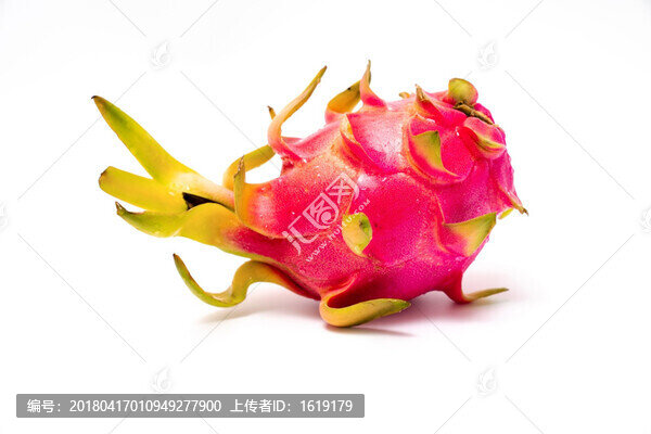 火龍果白底