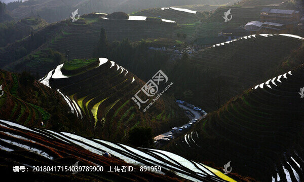 龍脊梯田