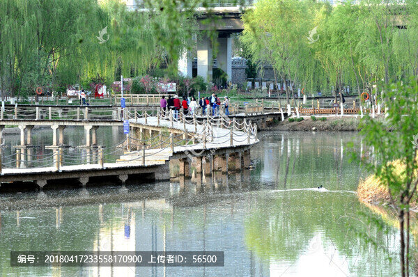 蘭州濕地公園