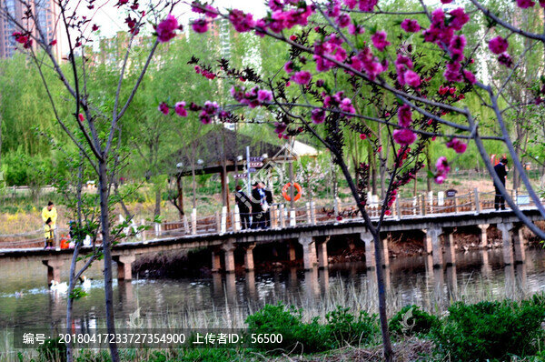 蘭州濕地公園