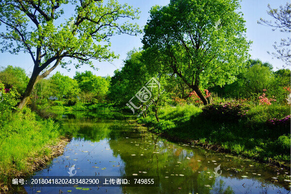 西溪濕地