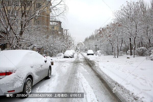 城市公園雪景