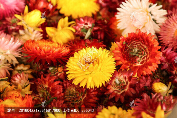 花墻