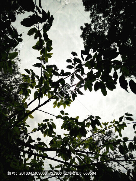 景觀園林