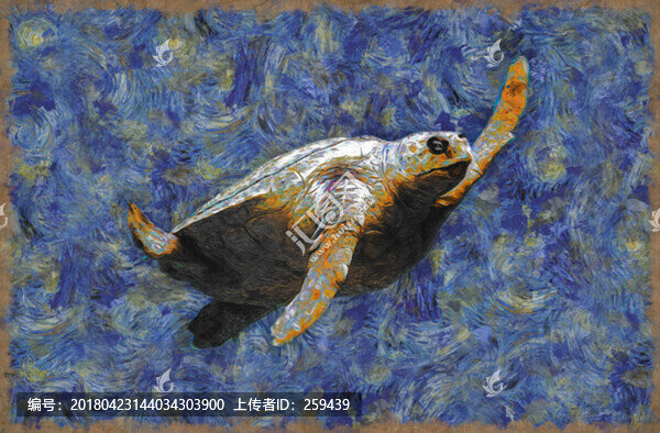 暢游的海龜