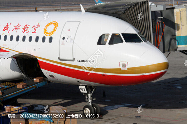 飛機(jī),民航,成都航空