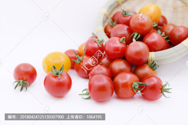 番茄高清棚拍素材