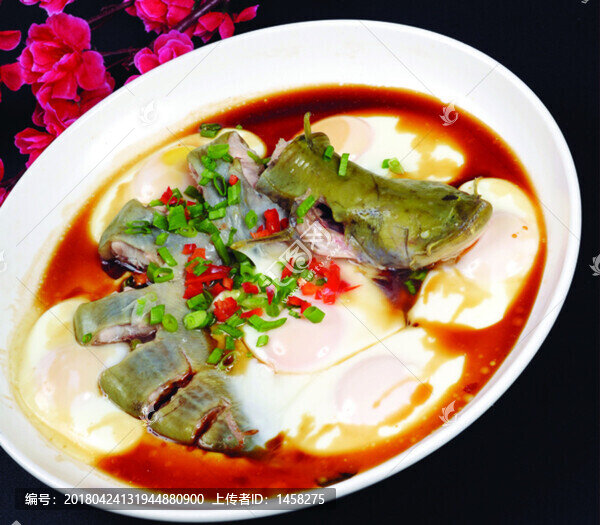 鯰魚臥蛋