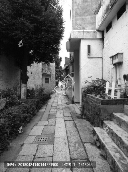 石板路老照片