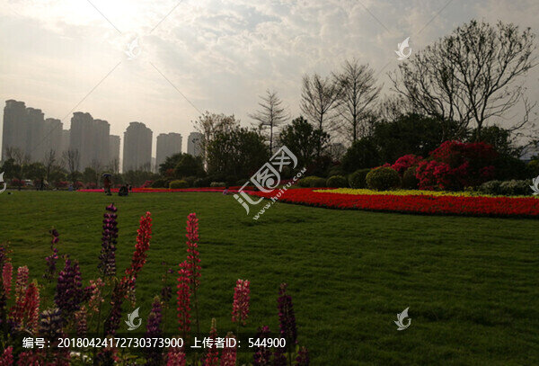鮮花,數(shù)字,草坪