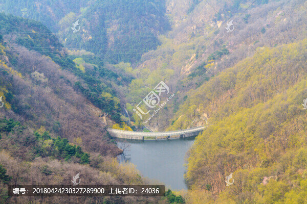 泰山,黑龍?zhí)端畮?kù)
