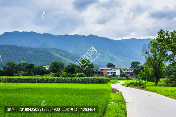 鄉(xiāng)村小路