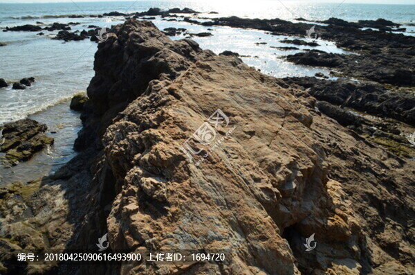 海岸