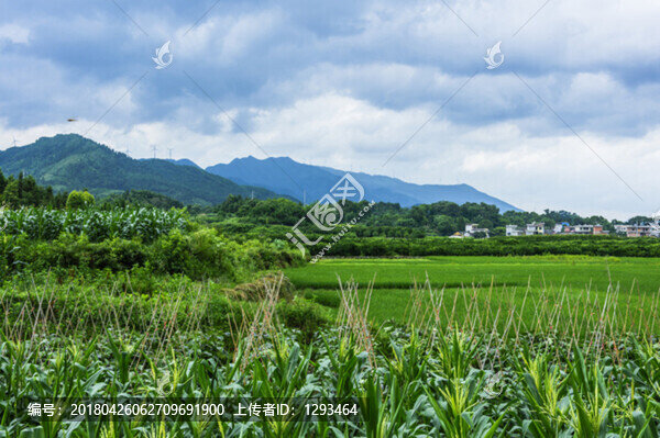 田園風(fēng)光