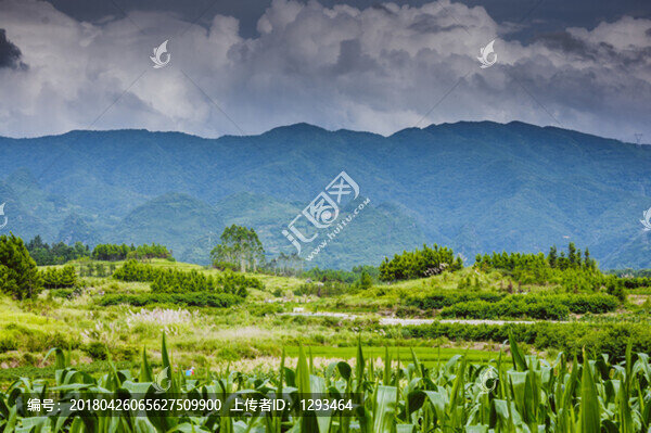 田園風(fēng)光