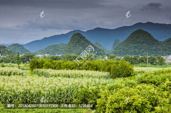 田園風(fēng)光