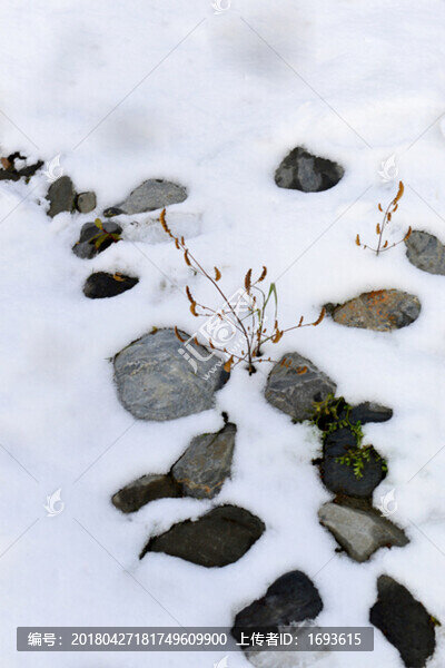 畢棚溝雪景